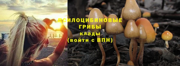 прущие грибы Горнозаводск