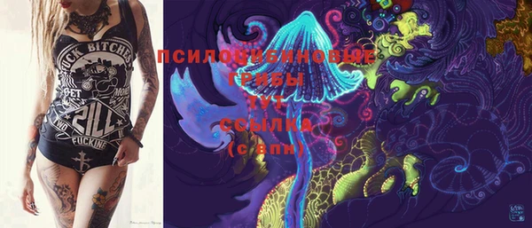 индика Тихвин