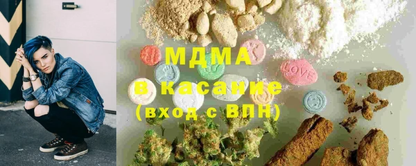 индика Анива