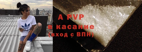 прущие грибы Горнозаводск