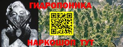 a pvp Гусев