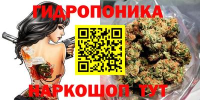 a pvp Гусев