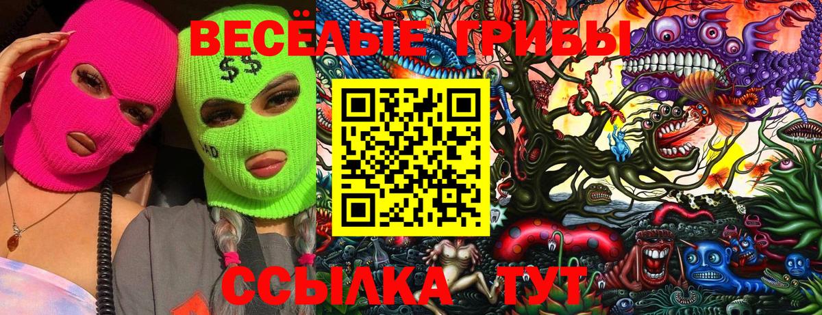 Назарово  Псилоцибиновые грибы Cubensis  Вход с VPN 