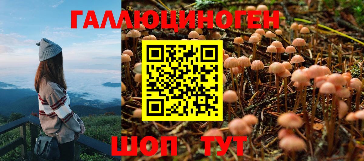 NBOMe  Кокаин  Каннабис  LSD-25  Мефедрон   ГАШ  ГАШ  Назарово  Вход с VPN 