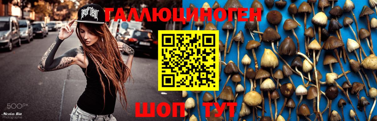 Галлюциногенные грибы GOLDEN TEACHER Назарово